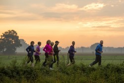 Zandbak 2017: een groot feest van leren, spelen, ontmoeten